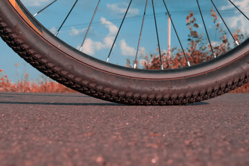 wheel of a bicycle