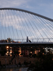 Naklejka premium Paseando por el puente