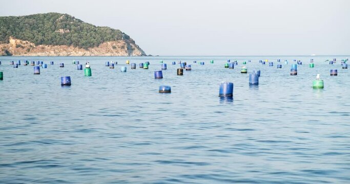 Barrels of the mussel cultivation farm in the sea