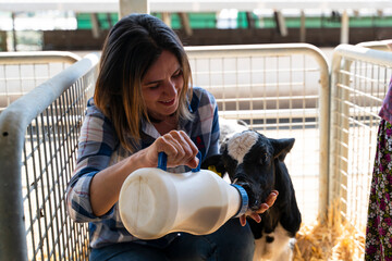 Farm owner feeding calf with bottle of milk on farm © bulentbaris