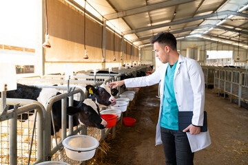a young veterinarian working in livestock industry