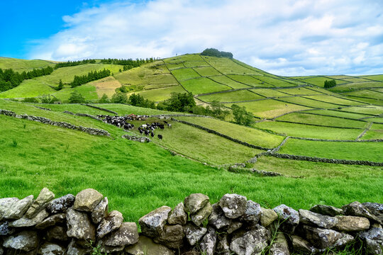 Paisagem dos A&ccedil;ores