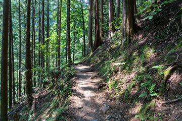 東京都西多摩郡奥多摩町、埼玉県飯能市にある棒ノ折山で登山する風景 Scenery of climbing at Mount Bouno-oreyama in Okutama Town, Nishitama County, Tokyo and Hanno City, Saitama Prefecture.