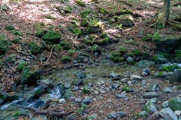東京都西多摩郡奥多摩町、埼玉県飯能市にある棒ノ折山で登山する風景 Scenery of climbing at Mount Bouno-oreyama in Okutama Town, Nishitama County, Tokyo and Hanno City, Saitama Prefecture.