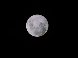 moon © flor