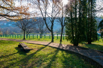 Obraz premium Autumn in a landscape park. Trees and bushes in golden attire.