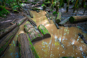 長野県南佐久郡の八ヶ岳のニュウの登山道の風景 A view of the trail at Nyu, Yatsugatake, Minamisaku-gun, Nagano Prefecture, Japan.
