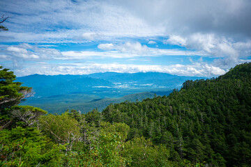 長野県南佐久郡の八ヶ岳のニュウの登山道の風景 A view of the trail at Nyu, Yatsugatake, Minamisaku-gun, Nagano Prefecture, Japan.