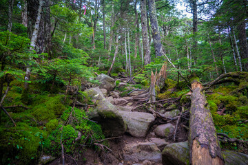 長野県南佐久郡の八ヶ岳のニュウの登山動の風景 Nyu, Yatsugatake, Minamisaku-gun, Nagano Prefecture, Japan.