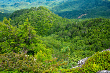 長野県南佐久郡の八ヶ岳のニュウの登山動の風景 Nyu, Yatsugatake, Minamisaku-gun, Nagano Prefecture, Japan.
