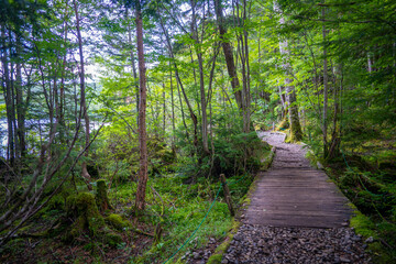 Obraz premium 長野県南佐久郡の八ヶ岳のニュウの登山動の風景 Nyu, Yatsugatake, Minamisaku-gun, Nagano Prefecture, Japan.