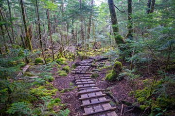 長野県南佐久郡の八ヶ岳のニュウの登山動の風景 Nyu, Yatsugatake,...