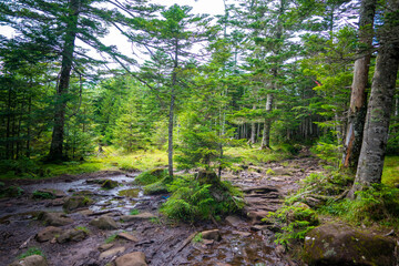 長野県南佐久郡の八ヶ岳のニュウの登山動の風景 Nyu, Yatsugatake, Minamisaku-gun, Nagano Prefecture, Japan.