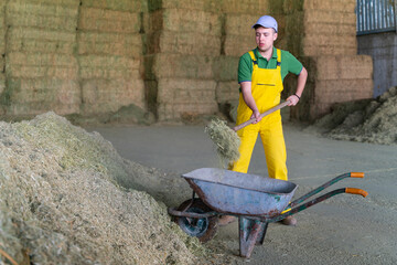 Young male farmer cleaning out stable
