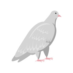dove animal icon
