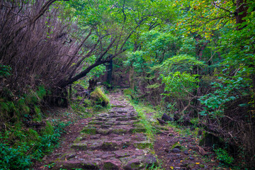 宮崎県えびの市、小林市、鹿児島県霧島市の韓国岳と大浪池を登山している風景 Scenery of climbing Mt. Karakuni-dake and Onami Pond in Ebino City, Kobayashi City, Miyazaki Prefecture and Kirishima City, Kagoshima Prefecture.