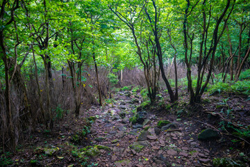 宮崎県えびの市、小林市、鹿児島県霧島市の韓国岳と大浪池を登山している風景 Scenery of climbing Mt. Kankoku and Onami Pond in Ebino City, Kobayashi City, Miyazaki Prefecture and Kirishima City, Kagoshima Prefecture.