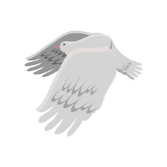 cute dove bird