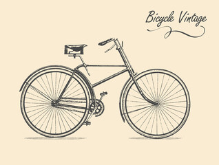 Old classic vintage bicycle. Vector