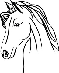 Horse Hand Drawn Sketch