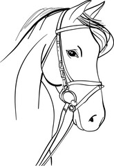 Horse Hand Drawn Sketch