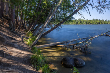 Lake Coon and forest on a breezy day.