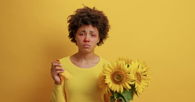 Frustrated curly haired young woman suffers from allergy reaction to sunflowers has red watery itchy eyes runny nose holds napkin feels unwell wears casual jumper isolated over yellow background.