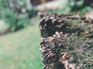 Nature garden, park decorated with natural stones
