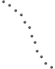 動物の足跡　猫のあしあと　猫の肉球