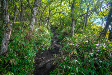 群馬県前橋市、桐生市にある赤城山、黒檜山、地蔵岳を登山している風景  Scenery of climbing Mt. Akagi, Mt. Kurobi-san and Mt. Jizo-dake in Maebashi and Kiryu, Gunma Prefecture. 