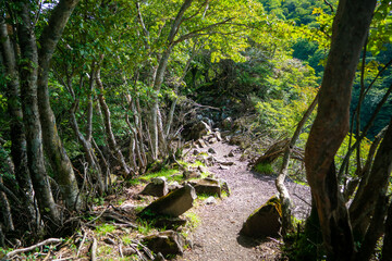 群馬県前橋市、桐生市にある赤城山、黒檜山、地蔵岳を登山している風景  Scenery of climbing Mt. Akagi, Mt. Kurobi-san and Mt. Jizo-dake in Maebashi and Kiryu, Gunma Prefecture. 