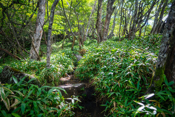 群馬県前橋市、桐生市にある赤城山、黒檜山、地蔵岳を登山している風景  Scenery of climbing Mt. Akagi, Mt. Kurobi-san and Mt. Jizo-dake in Maebashi and Kiryu, Gunma Prefecture. 