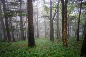 栃木県日光市の男体山に登山している風景  A view of climbing Mt. Ottai in Nikko City, Tochigi Prefecture. 