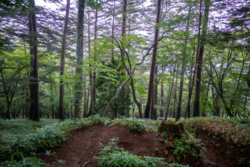 栃木県日光市の男体山に登山している風景  A view of climbing Mt. Ottai in Nikko City, Tochigi Prefecture. 