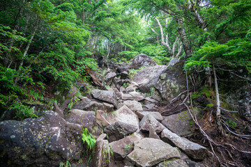 Fototapeta premium 栃木県日光市の男体山に登山している風景 A view of climbing Mt. Ottai in Nikko City, Tochigi Prefecture. 