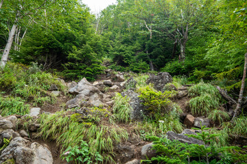 栃木県日光市の男体山に登山している風景  A view of climbing Mt. Ottai in Nikko City, Tochigi Prefecture. 
