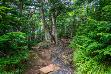 栃木県日光市の男体山に登山している風景  A view of climbing Mt. Ottai in Nikko City, Tochigi Prefecture. 