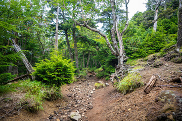 栃木県日光市の男体山に登山している風景  A view of climbing Mt. Ottai in Nikko...