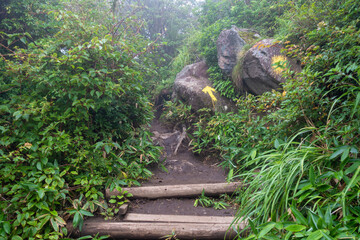 大分県玖珠郡九重町、竹田市久住町のくじゅう連山を登山している風景 A scene of climbing the Kujyu mountain range in Kusu-gun, Kokonoe-machi and Takeda-shi, Oita Prefecture. 