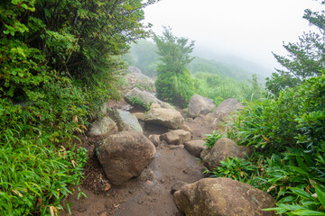 大分県玖珠郡九重町、竹田市久住町のくじゅう連山を登山している風景 A scene of climbing the Kujyu mountain range in Kusu-gun, Kokonoe-machi and Takeda-shi, Oita Prefecture. 