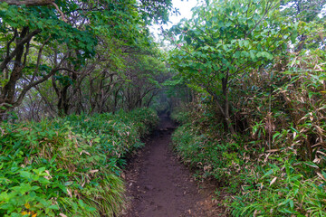 大分県玖珠郡九重町、竹田市久住町のくじゅう連山を登山している風景 A scene of climbing the Kujyu mountain range in Kusu-gun, Kokonoe-machi and Takeda-shi, Oita Prefecture. 
