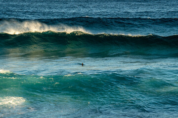 wave breaking in the ocean with Bodysurfer swimming in the waves 