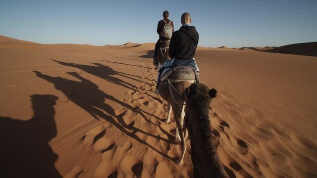 POV Of Camel Riding In Desert. Caravan Slowly Walking In Deep Fine Sand. Shadows Of Moving Row Projected On Ground. Morocco, Africa