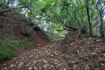 Fototapeta premium 神奈川県伊勢原市、秦野市、厚木市の大山を登山している風景 Scenery of climbing Mt. Oyama in Isehara City, Hadano City, and Atsugi City, Kanagawa Prefecture.