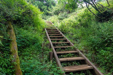 神奈川県伊勢原市、秦野市、厚木市の大山を登山している風景 Scenery of climbing Mt. Oyama in Isehara City, Hadano City, and Atsugi City, Kanagawa Prefecture.