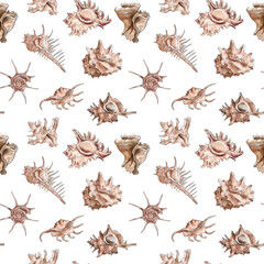 Fototapeta na wymiar Watercolor digital illustration seamless pattern of seashells from brown marine life on background. High quality illustration