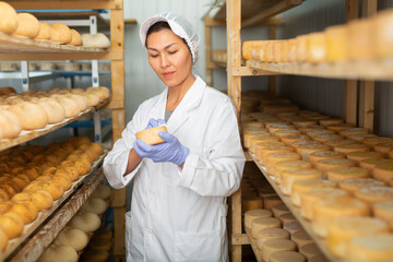 Cleaning cheese while it matures at the cheese factory