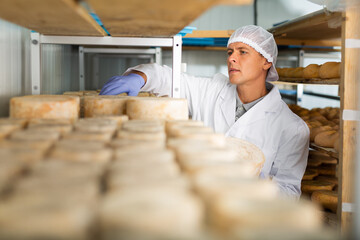 Focused man engaged in cheesemaking dressed in white uniform with cap and gloves examining quality...