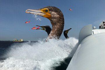 怪獣　妄想風景　kaiju tokyo