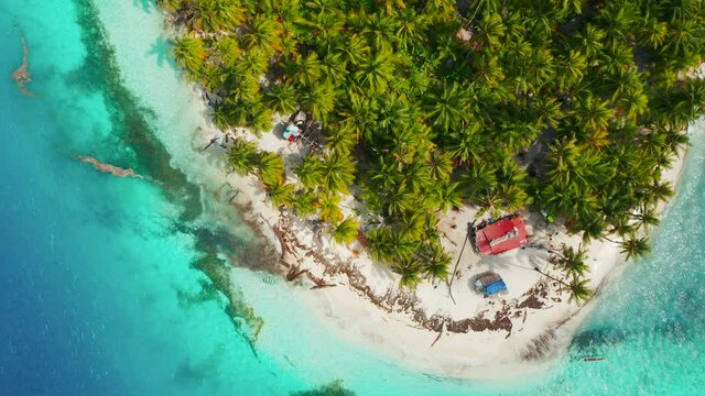 Beach Island With Tropical Palm Trees Surrounded By Clear Blue Water In San Blas Islands, Panama. - aerial